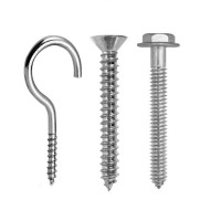 SCREWS AND HOOKS