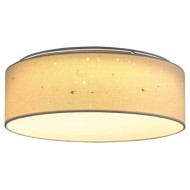 RABALUX LED ПЛАФОН OTILIA 3308