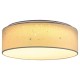 RABALUX LED ПЛАФОН OTILIA 3308