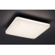 RABALUX LED ВЪНШЕН ПЛАФОН PERNIK 7250