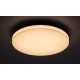 RABALUX LED ВЪНШЕН ПЛАФОН PERNIK 7265