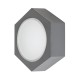 RABALUX LED ВЪНШНО СТЕННО ОСВЕТЛЕНИЕ AVOLA 7964