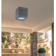 RABALUX CEILING LIGHT AKRON 8149