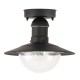 RABALUX CEILING LIGHT OSLO 8716
