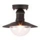 RABALUX CEILING LIGHT OSLO 8716