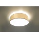 SOLLUX CEILING LIGHT ARENA 35 WHITE E27 2x60W IP20 SL.0123