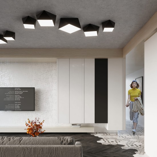 SOLLUX CEILING LIGHT HEXA 35 BLACK E27 2x60W IP20 SL.0690