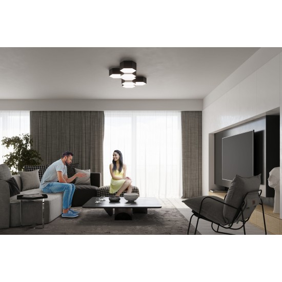 SOLLUX CEILING LIGHT SUNDE 13 BLACK E27 2x60W IP20 SL.1060