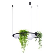 KAJA CANDELABRU STICLA NEGRU FLOWERBED 5005 - PLANT