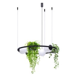 KAJA CHANDELIER EXTREMELY DECOARTIVE FLOWERBED 5005 - PLANT
