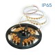 VIVALUX LED STRIP ORLO LED ∙ 6400K ∙ IP65 ∙ 5M
